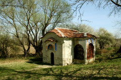 Anima_Mea 
Аязмо 
2008-04-07 20:19:25