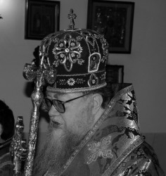 marcin__c 
Metropolita Sawa 
2008-04-11 18:22:47