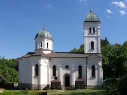Zoran Sremski 
Петковица Церска - Petkovica Cerska 
2008-04-17 23:14:06