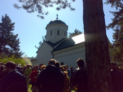 goran 
Благовести Ћелије 
2008-04-18 21:01:09
