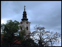 mikica 
Храм Успенија Пресвете Богородице - Нови Сад 
2008-04-20 20:45:25