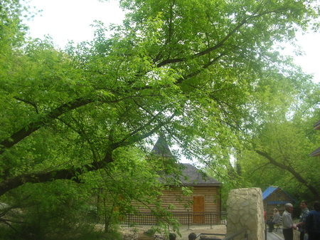 Купальня в зелени
