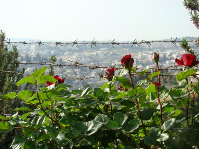 ...†...Jerusalem...†...