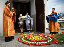 aleh69 
Владыку ждут 
2008-05-03 22:17:34