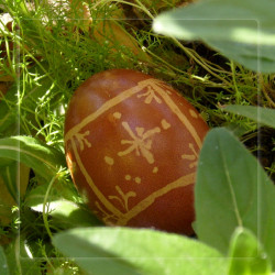 rasonna 
христос воскресе!!! christ is risen!!! 
2008-05-06 14:43:58