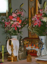 Teodora-Lavini 
 
2008-05-07 19:56:43