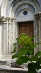 teodoraa 
Манастир Студеница, јужни вестибил 
2008-05-07 21:55:01