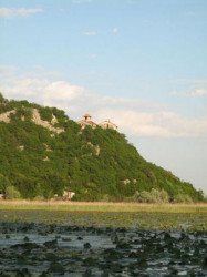 + Stradanija + 
Богом дата природа 
2008-05-19 08:24:24