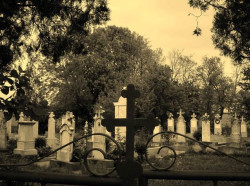 ille 
Cemetery 
2008-05-19 21:47:41