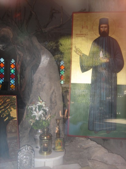 Το δέντρο όπου μαρτύρησε ο Άγ. Εφραίμ - St. Ephraim of Nea Makris