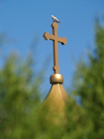 A mouring dove on St James Church tower