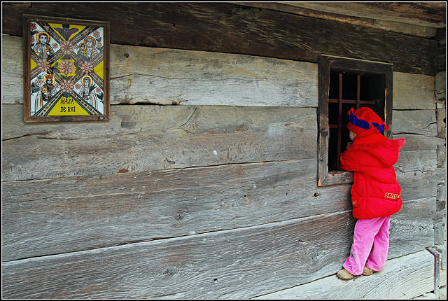 curiosity(2)