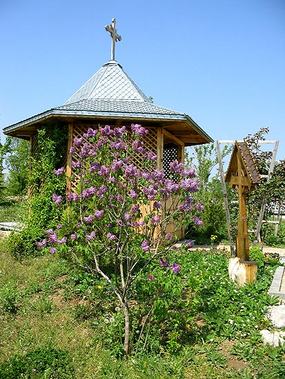 peaceful corner ...