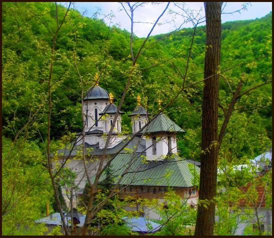 Sfanta Manastire Lainici