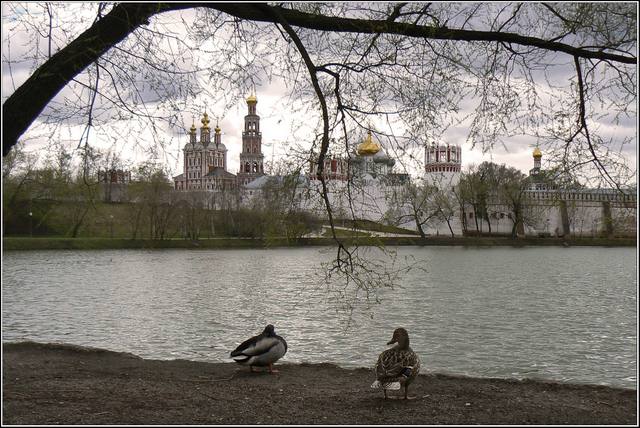 Новодевичий монастырь/Novodevichij Nunnery