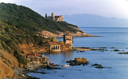 thiv_col_Athos 
Αρσανάδες στην Καλιάγρα - Kaliagra and Stavroniketa H. Monastery 
2008-06-03 12:02:47