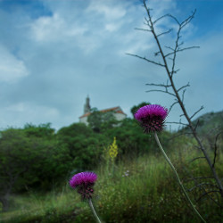 GuliVar 
Манастир Врањина 
2008-06-04 23:28:48