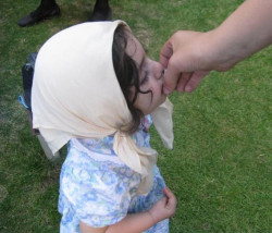 ket_ketusia 
... Elizaveta... 
2008-06-14 09:23:35