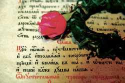 Tanjica 
Царју Небесни.. 
2008-06-15 14:35:36