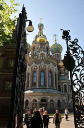 solo 
Спас-на-крови. 
2008-06-21 21:23:41