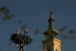 GuliVar 
Црква у селу Сакуле 
2008-06-26 18:58:19