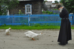 shelma 
На дороге 
224 
2008-06-29 19:16:38