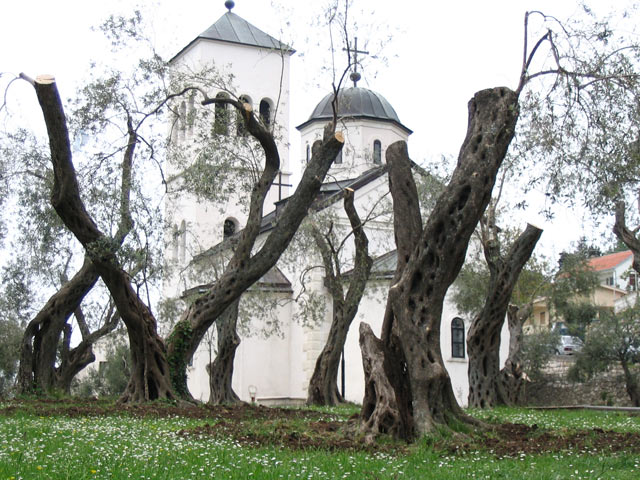 Crkva Sv.Nikole u Ulcinju