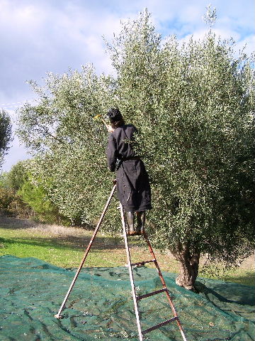 Monks at the work
