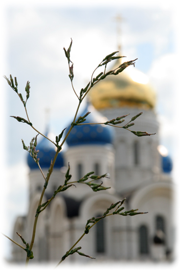 Spaso-Preobragenskiy sobor, Nikolo-Ugreshskiy monastery