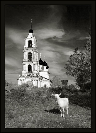 Божье создание