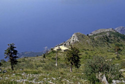 thiv_col_Athos 
Το εκκλησάκι της Παναγίας στον Άθω - Panagia's chapel on Athos 
2008-07-01 13:15:08