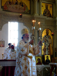rasonna 
Господе, погледај с неба и види и посјети овај Виноград 
2008-07-09 01:09:21