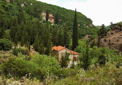 thiv56 
Ι. Μονή Παναγίας Χρυσοποδαρίτισσας - Chryssopodaritissa H. Monastery 
2008-07-22 19:41:00