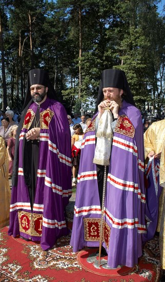 Witamy na Dojlidach