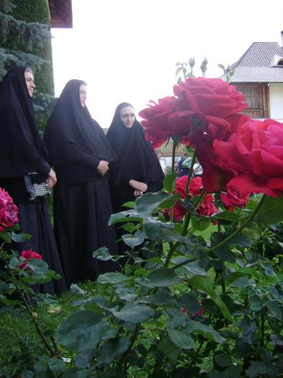 SFANTA MANASTIRE PUTNA