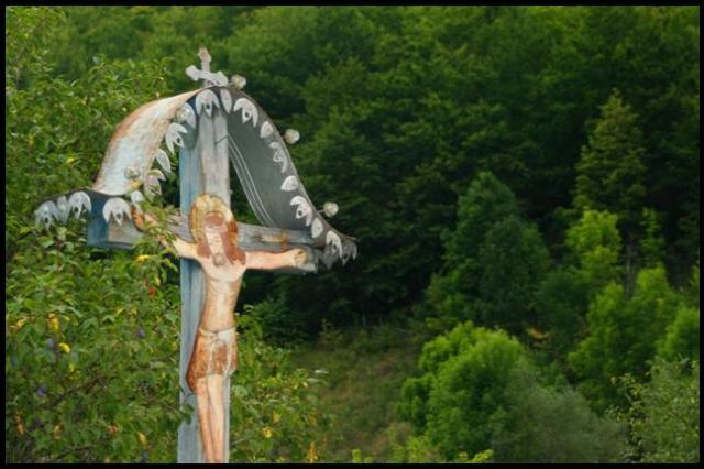 O cruce de tara...