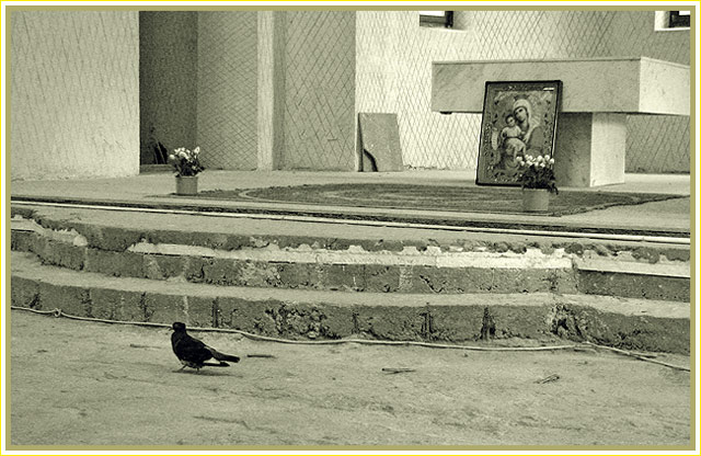 The Messenger/Vestitorul
