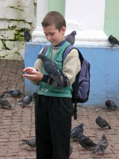 Boy and birds