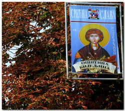 AleksaSrbin 
Срећна слава Бијељино! 
2008-08-08 07:38:56
