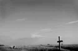 aliszja 
† 
2008-08-13 17:27:15