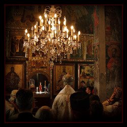 mikica 
Литургија у манастиру Крушедол 
2008-08-19 11:09:39