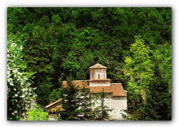 AleksaSrbin 
У молитви са братом Иваном 
2008-08-23 21:15:05