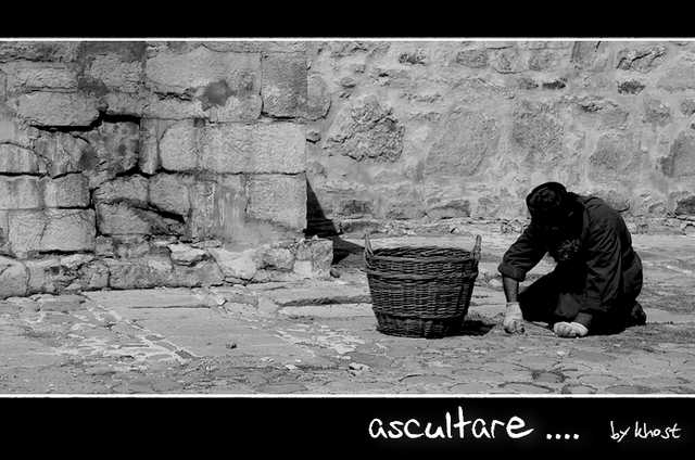 ascultare... (M. Bistrita)