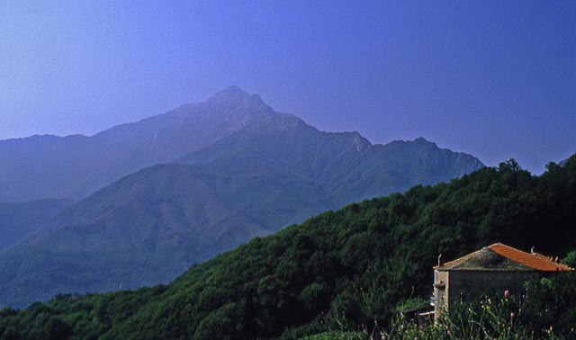 Κελλί και Άθως - Monastic house and Mt. Athos