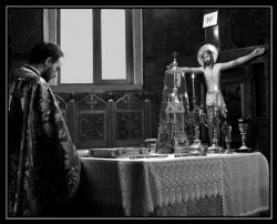 carol 
altar 
2008-09-01 21:21:37