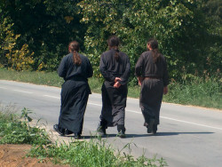 sekula 
НА ПУТУ СПАСЕЊА... 
189 
2008-09-09 06:54:00