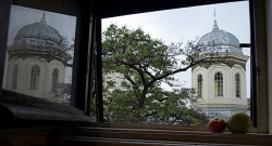codre 
reflection 
2008-09-15 09:32:56