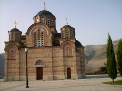 biil 
херцеговачка грачаниц 
2008-09-18 00:07:30