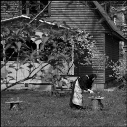 WiseMouse 
Песечница - 2 --- Bee Master - 2 
2008-09-21 14:29:13