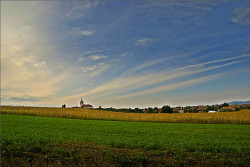 ovidiu_m 
 
174 
2008-09-23 18:14:10